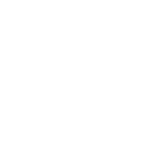 Lake District Stump Grinding and Tree Services logo